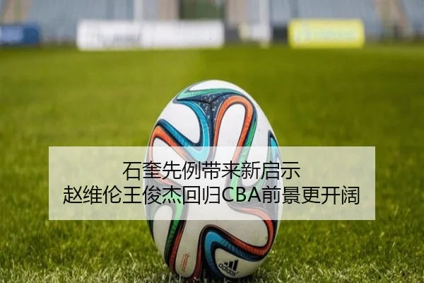 石奎先例带来新启示 赵维伦王俊杰回归CBA前景更开阔